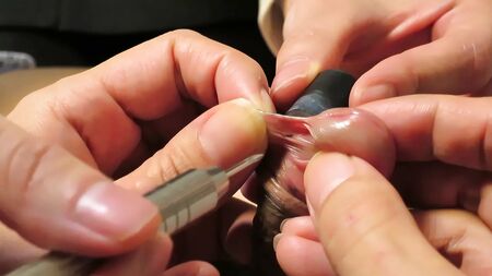 Fazer um piercing no frênulo do pénis
