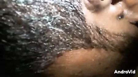 Desculpa