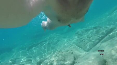 Nadar nu no mar. Muito erótico