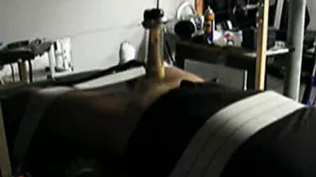 Máquina de ordenha Venus 2