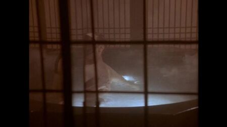Charlotte Lewis Nua - Storyville (1992)