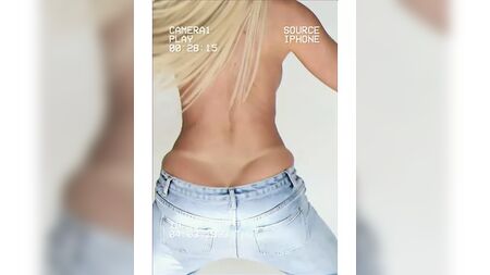 Jelena Karleusa, fim