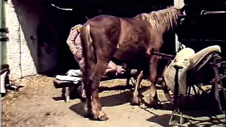 A Mosca Espanhola (1985)