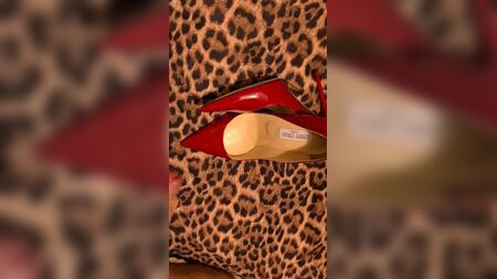 Esperma nos saltos Jimmy Choo da minha mulher