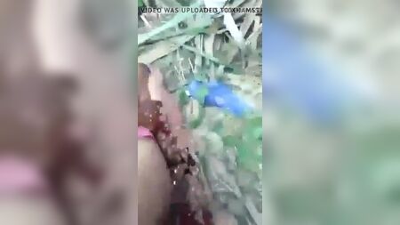 A namorada da aldeia de Desi a fazer sexo no campo
