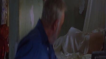 Catherine Zeta-Jones - Armadilha