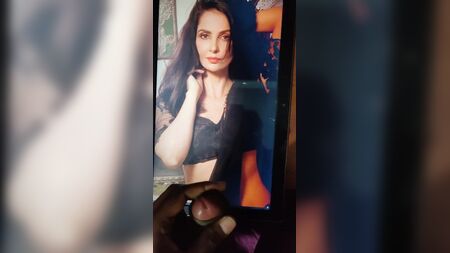 Rukhsar Rehman: Homenagem n.º 1