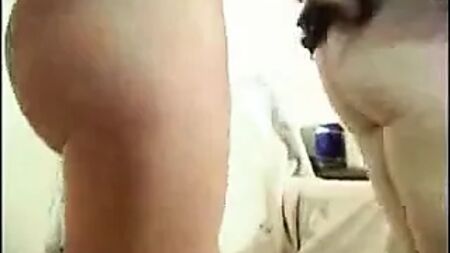 A sobrinha gira fez um presente para a tia