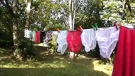Calcinhas em abundância 7