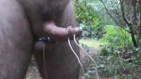 E-Stim suculento e escorrendo na floresta
