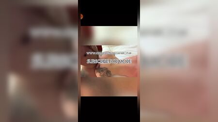 Compilação «Ts Safari Star»