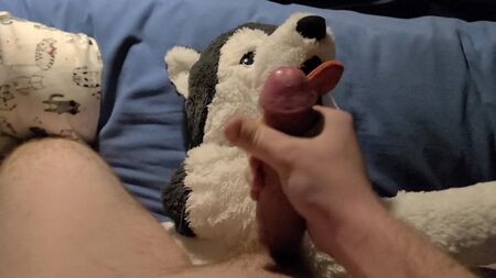 ejacular sobre um peluche Husky