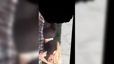 Homenagem a Ximena Salgado: um rabo de sonho