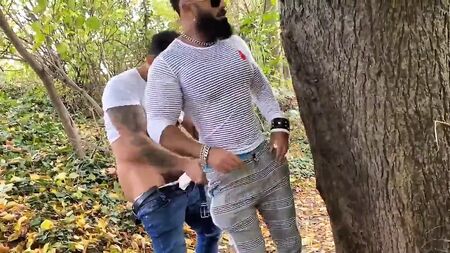 RFC HotPark: Viktor Rom e Hairy Sam