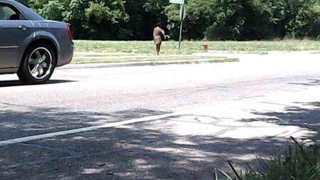Detroit (prostitutas) prostitutas negras de rua na Chalmers Ave
