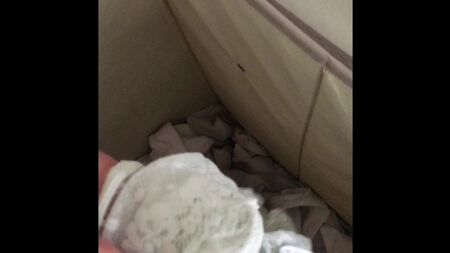 Cuecas sujas da minha mulher, tamanho 8, tiradas do cesto da roupa suja