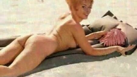 Playmate dos anos 60