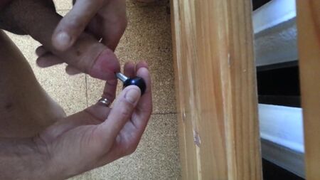 Plug anal de 22 cm para o meu pénis