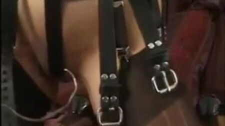 Bondage com arnês