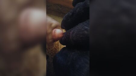 Esperma num casaco de pele sintética preta