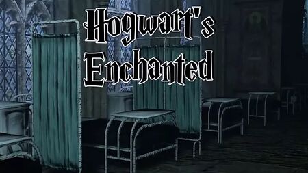 Harry Potter - Jogo pornográfico em 3D