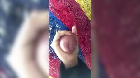 Ordenha debaixo da rede