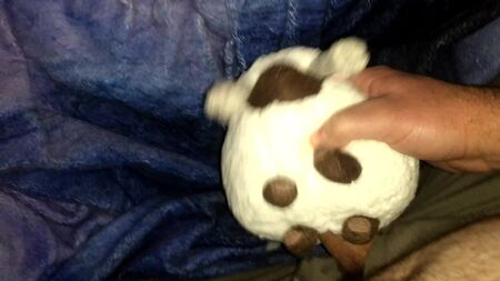 Sexo com o peluche do Pokémon Wooloo