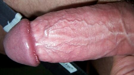 Fotos do meu pénis