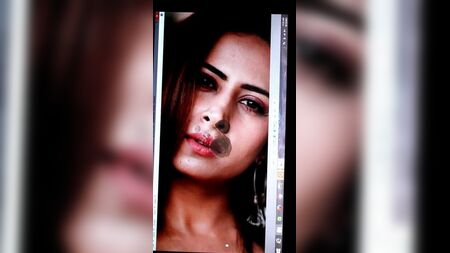 Sargun Mehta: Uma Homenagem