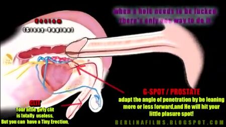 Como atingir o orgasmo anal! Um must-see [sissy, shemale, trap, orgasm, cum, sex, slut]