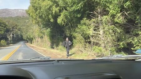 O que ele fará se eu lhe der uma carona?
