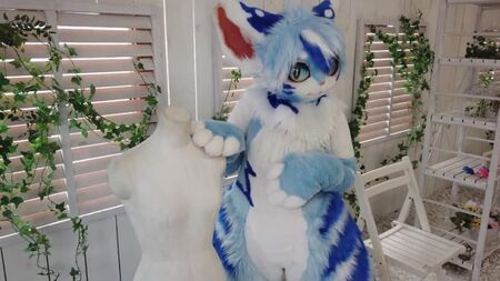 Festa Shimizu Kemono | Kemono Furry