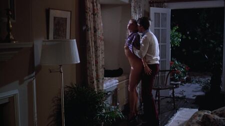 Rebecca De Mornay nua, com a virilha à mostra e uma cena de sexo breve - Risky Business (1983) HD 1080p