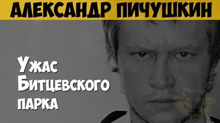 Alexandre Pichushkin. Assassino em série, maníaco. O terror do Parque Bitsevsky