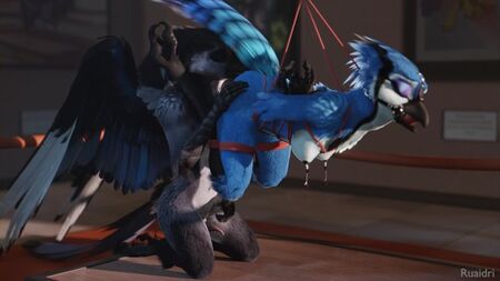 3D Yiff por ruaidri Porno Furry Sexo E621 Mulher Aves Bondage BDSM