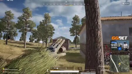 [O melhor do Recrent] O no-scope mais incrível do Recrent | 21 abates com a Saiga e a Mini-14 | O melhor do Recrent