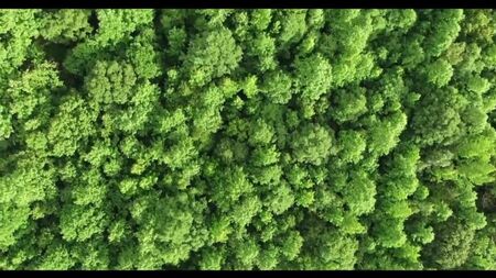 Vídeo de Audiocontos. Histórias de traição. Histórias da vida
