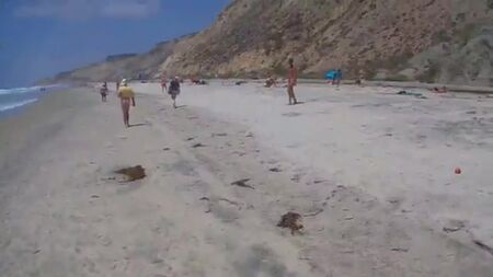 CFNM_Dia_na_Praia_dos_Negros_6.8.2014