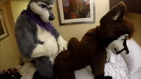 Sonhos Furry Gays 24