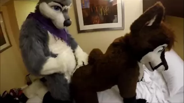 Gay Furry Porn Shemale - Resultados de busca segundo gay furry shemale anal yiff jasonafex