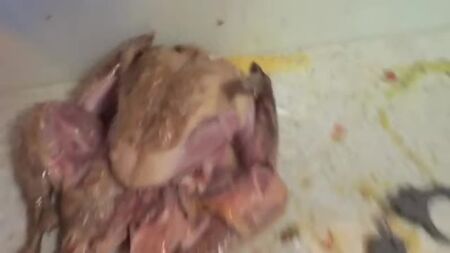 [HowToBasic] Como rechear um peru