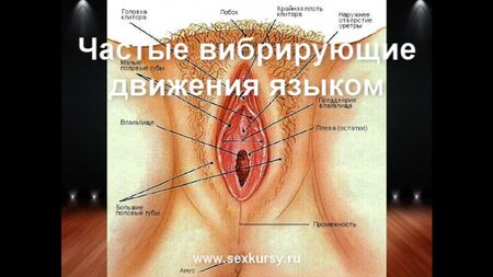 Como fazer sexo oral, atingir o orgasmo, praticar sexo anal e masturbar-se