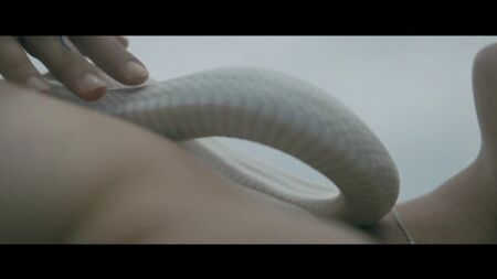Paz de la Huerta, Dianna Agron, etc. Nude - Bare (2015) Ver Online / Dianna Agron, Paz de la Huerta - Nua