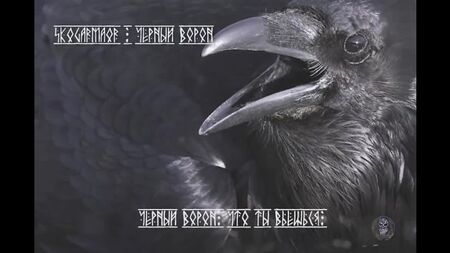 Skogarmaor - Black Raven (vídeo com a letra)