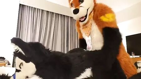 brincar de fursuit com um amigo