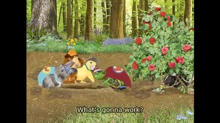 Wonder Pets 1x07b Salvar o Galo-preto (legendas em inglês)