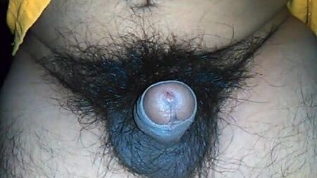 Pénis pequeno, não circuncidado, escuro e muito peludo