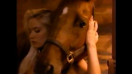 Barbara Moore - Playboy - Perfil da Playmate