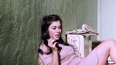 Entre os melhores filmes pornográficos de sempre 66